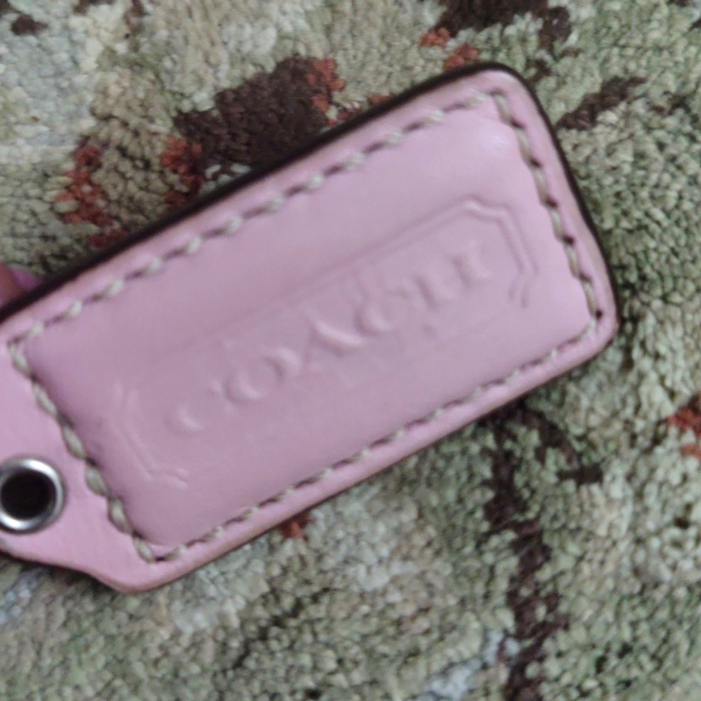 Coach dog tag